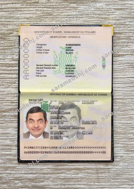 Zambia pass photo look